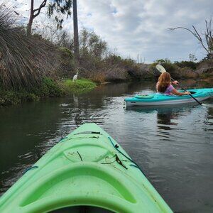 Meet your Posher, Posh